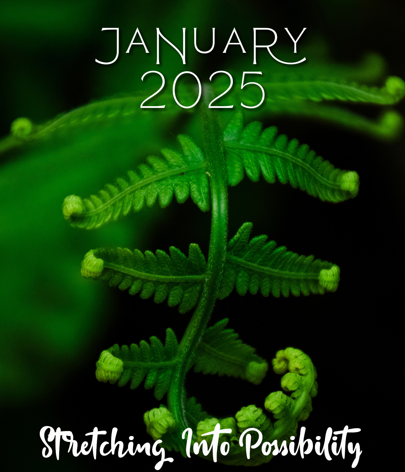 January 2025 bulletin cover