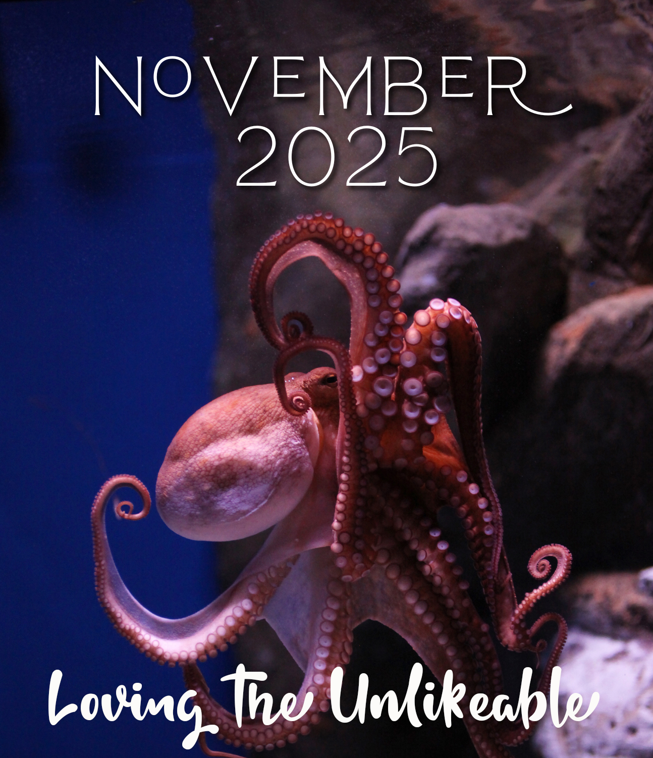 November 2025 bulletin cover